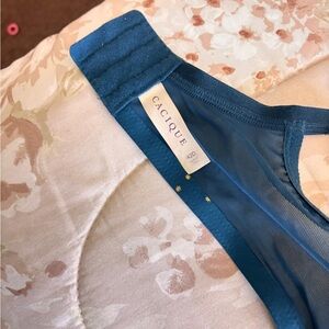 Cacique Teal Sheer Lingerie